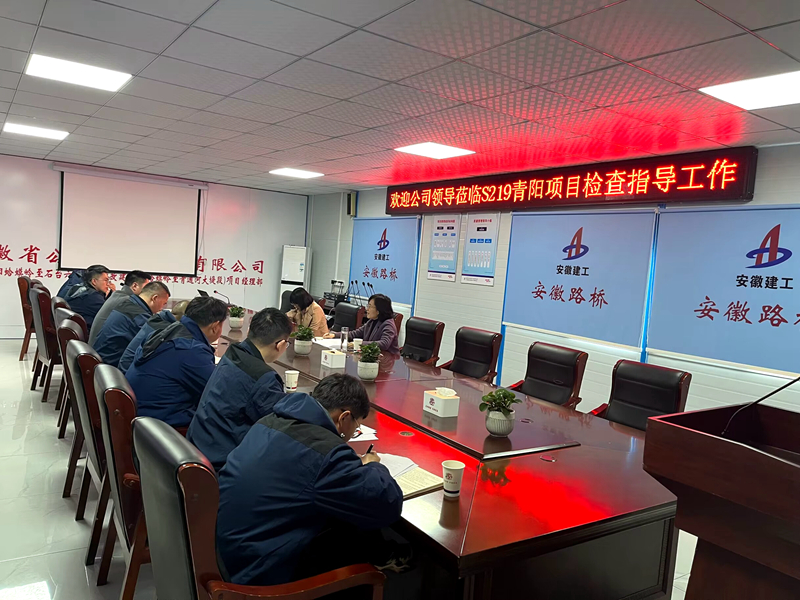 公司黨委委員、紀(jì)委書(shū)記王鵬到S219青陽(yáng)改建項(xiàng)目調(diào)研指導(dǎo)工作